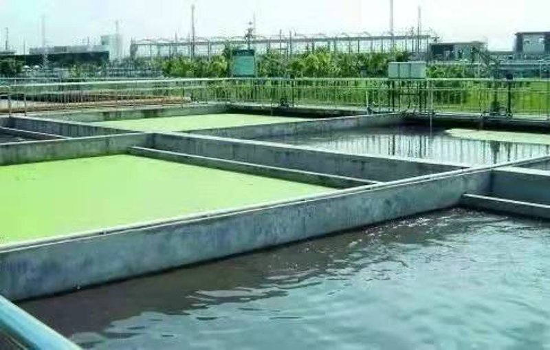 环境监测:守护绿水青山的科技之眼
